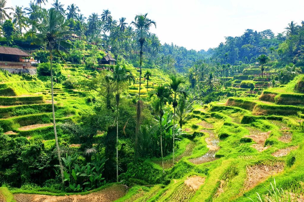 Backpacken in Indonesie