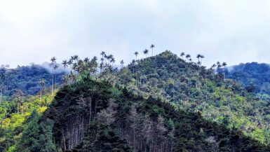 Salento, Colombia - wat te doen + cocora