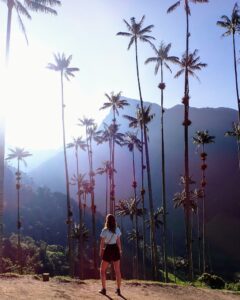 Reisroute Colombia - Salento