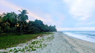 Costeno Beach Colombia Hostels