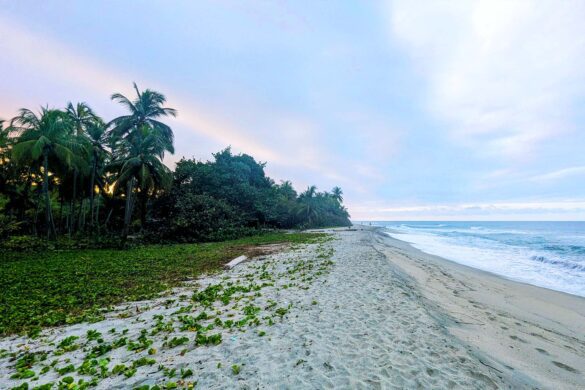 Costeno Beach Colombia Hostels
