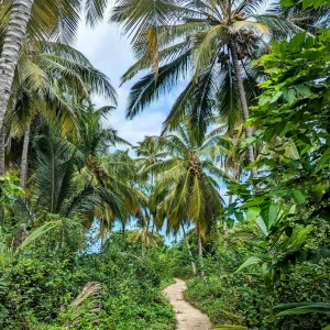 Reisroute Colombia - Tayrona Park