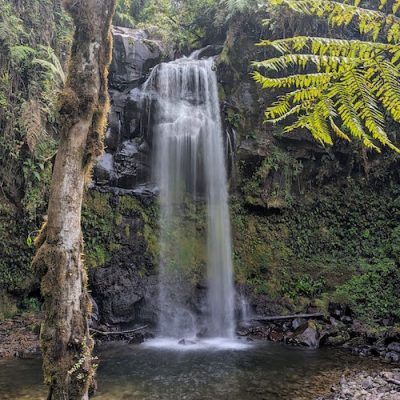 Backpacken in Panama – Boquete Backpacken in Panama - Boquete