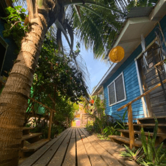 Hostels in Belize, Hopkins - Funky Dodo